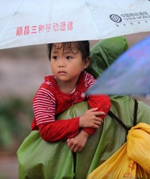 Image 75998341