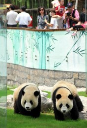 Image 76135177