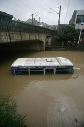 Image 76756150