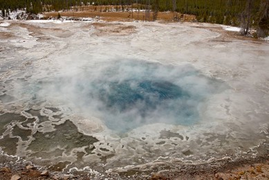Image 76955332