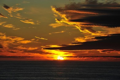 Image 77210919