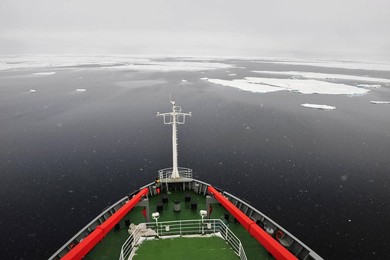 Image 77609564