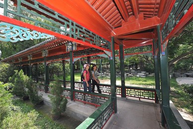 Image 77672589