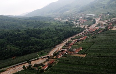 Image 77960125