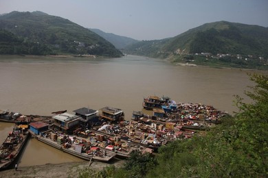 Image 78172054
