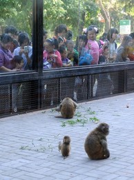 Image 81553919