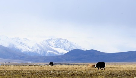 Image 81571968
