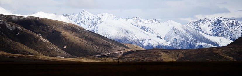 Image 81572135