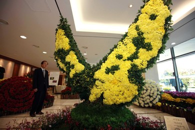 Image 82296133