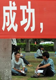 Image 87351163