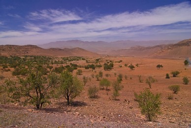 Desert landscape near Tafraoute, Morocco, North Africa, Africa