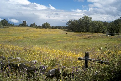 Landscape near Villanueva de la Vera, La Vera, Extremadura, Spain, Europe