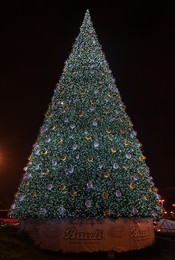 Verona Christmas Market