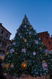 Verona Christmas Market