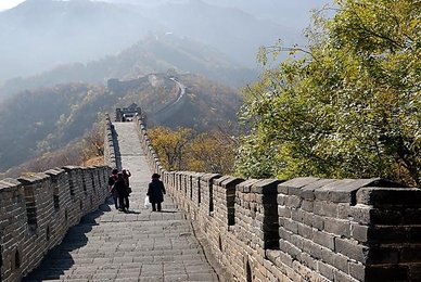 Image 88361807