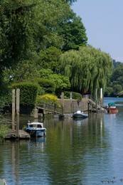 Image 93191618