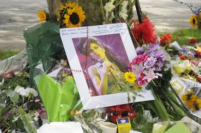 Image 97236232