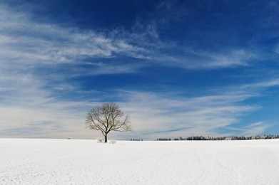Winter landscape, near Villingen-Schwenningen, Black Forest-Baar (Schwarzwald-Baar) district, Baden-Wurttemberg, Germany, Europe