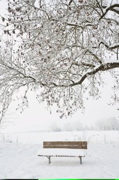 Winter landscape, near Villingen-Schwenningen, Black Forest-Baar (Schwarzwald-Baar) district, Baden-Wurttemberg, Germany, Europe