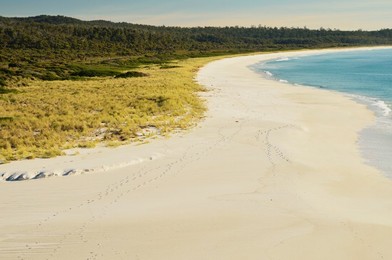 Beach at Sloop Lagoon, Bay of Fires, Bay of Fires Conservation Area, Tasmania, Australia, Pacific