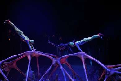 Totem Cirque Du Soleil