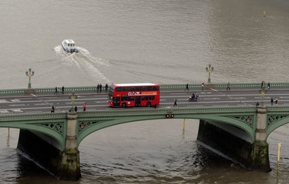 Image 116208326
