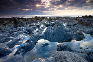 Image 129551856