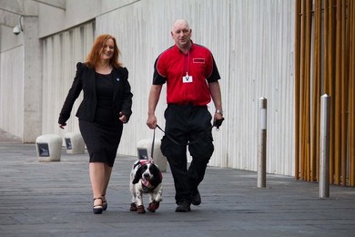 Fire Investigation Dog