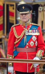 Image 131517799