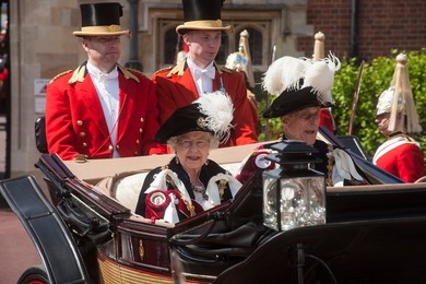 Image 131700148