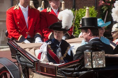 Image 131713899