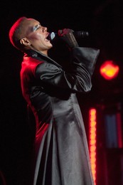 Image 132214672