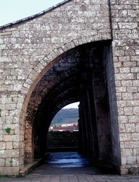 Image 137184356