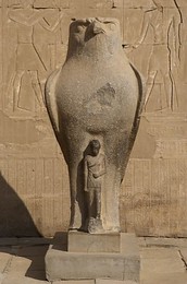 Image 138136557