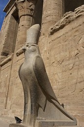 Image 138139965