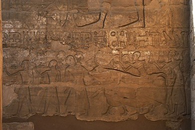 Image 138142751