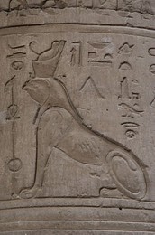 Image 138149401