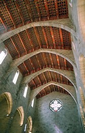 Image 138151332