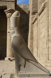 Image 138153793