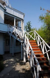 Image 138169736