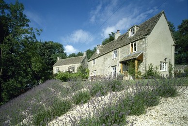 Image 139405991