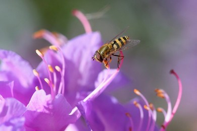 Image 139408088