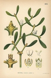 Image 140426180
