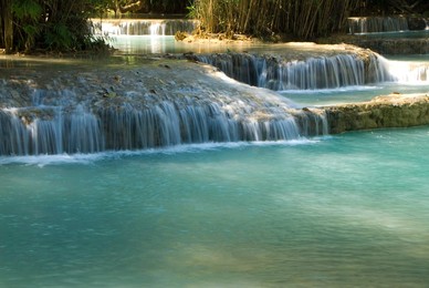 Image 142703848