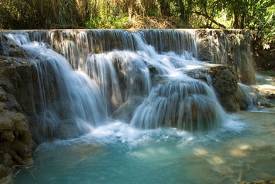 Image 142703849