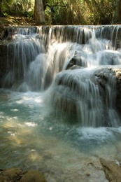 Image 142703850