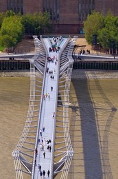 Image 142711556