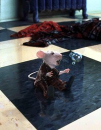 Image 145113226
