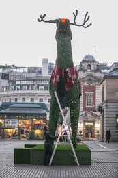 Image 145715234