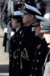 Image 145916022